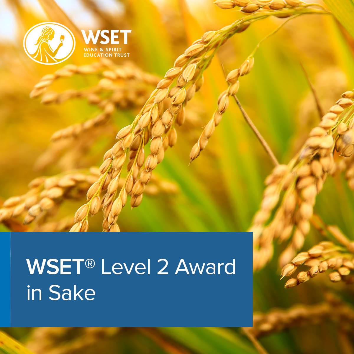 WSET® Level 2 Award in Sake